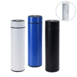 double wall bottle with temperature display